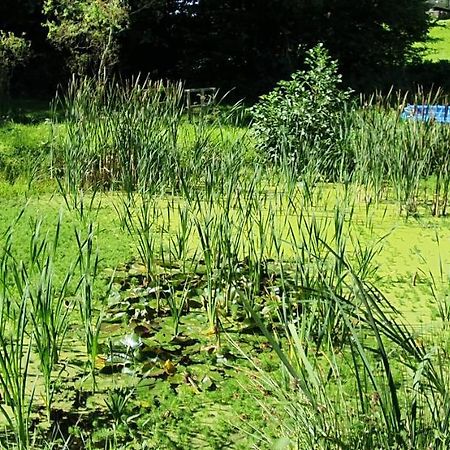 Quirky Eco Stay, Bedding Not Supplied, Peaceful & Private For 2 In Dble Bed Narberth Buitenkant foto