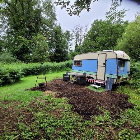 Quirky Eco Stay, Bedding Not Supplied, Peaceful & Private For 2 In Dble Bed Narberth Buitenkant foto