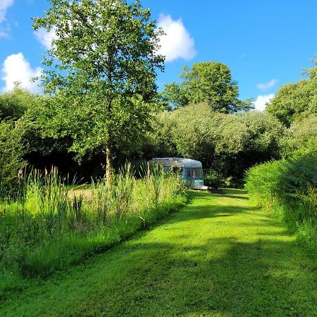 Quirky Eco Stay, Bedding Not Supplied, Peaceful & Private For 2 In Dble Bed Narberth Buitenkant foto