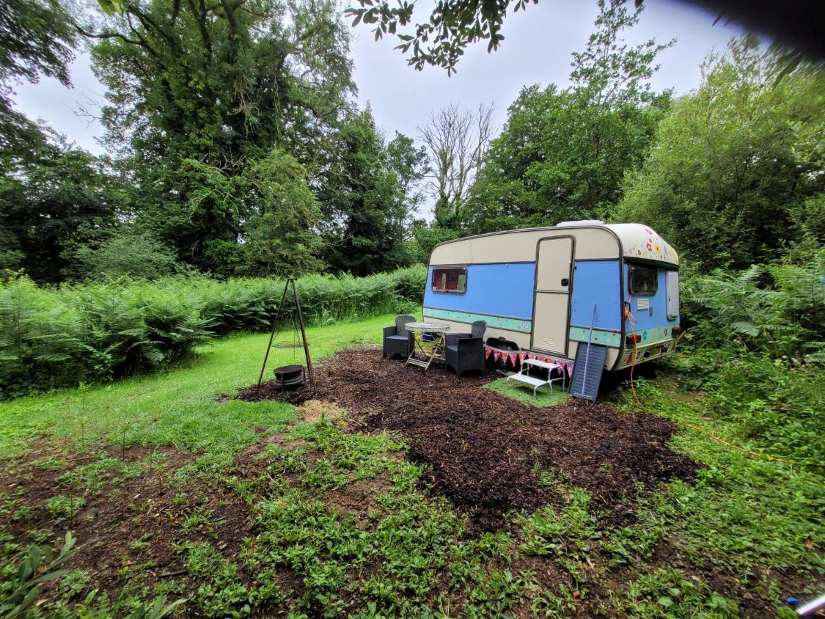 Quirky Eco Stay, Bedding Not Supplied, Peaceful & Private For 2 In Dble Bed Narberth Buitenkant foto